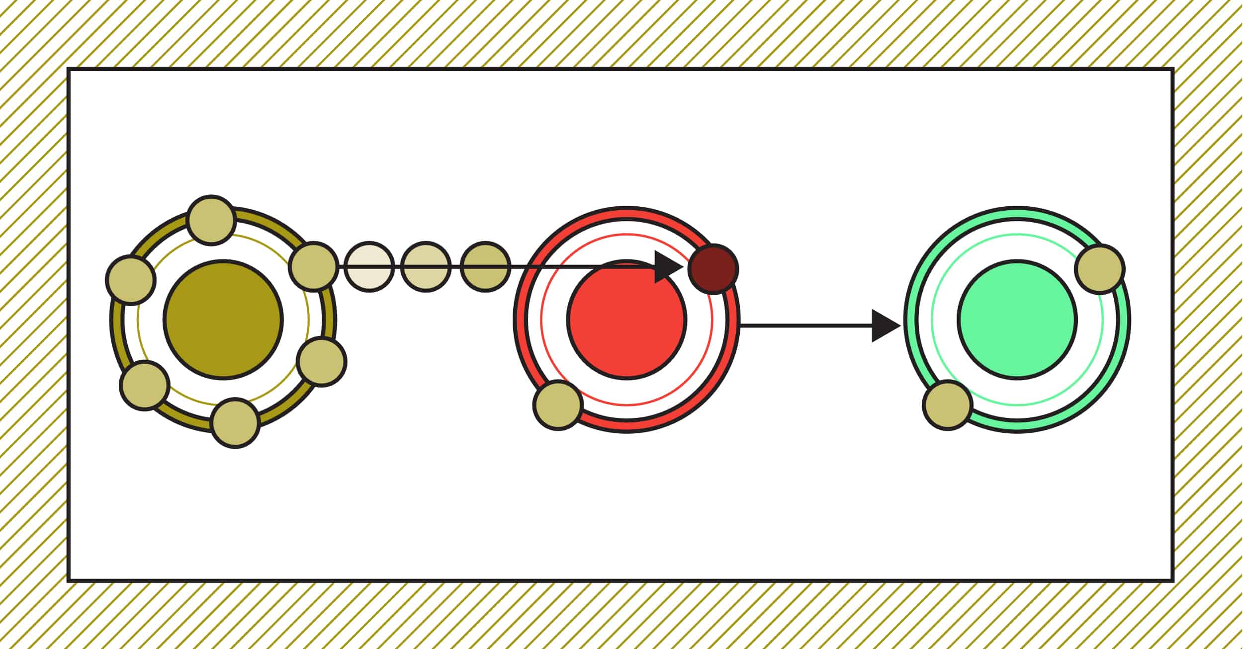 The Aging Factor You Can’t Really Control: Genes