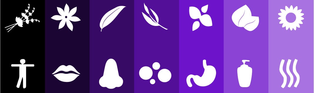 A Guide To Essential Oils