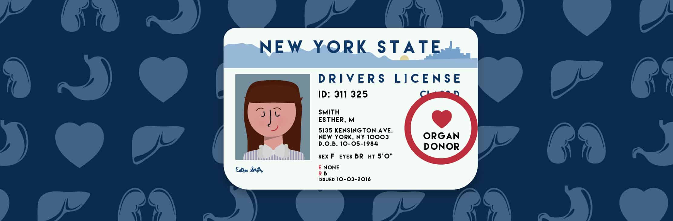 The Gift of Life: Everything You Need to Know About Being an Organ Donor