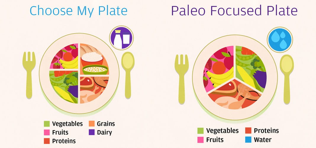 Priming For Paleo - A Beginners Guide to Starting the Paleo Diet.