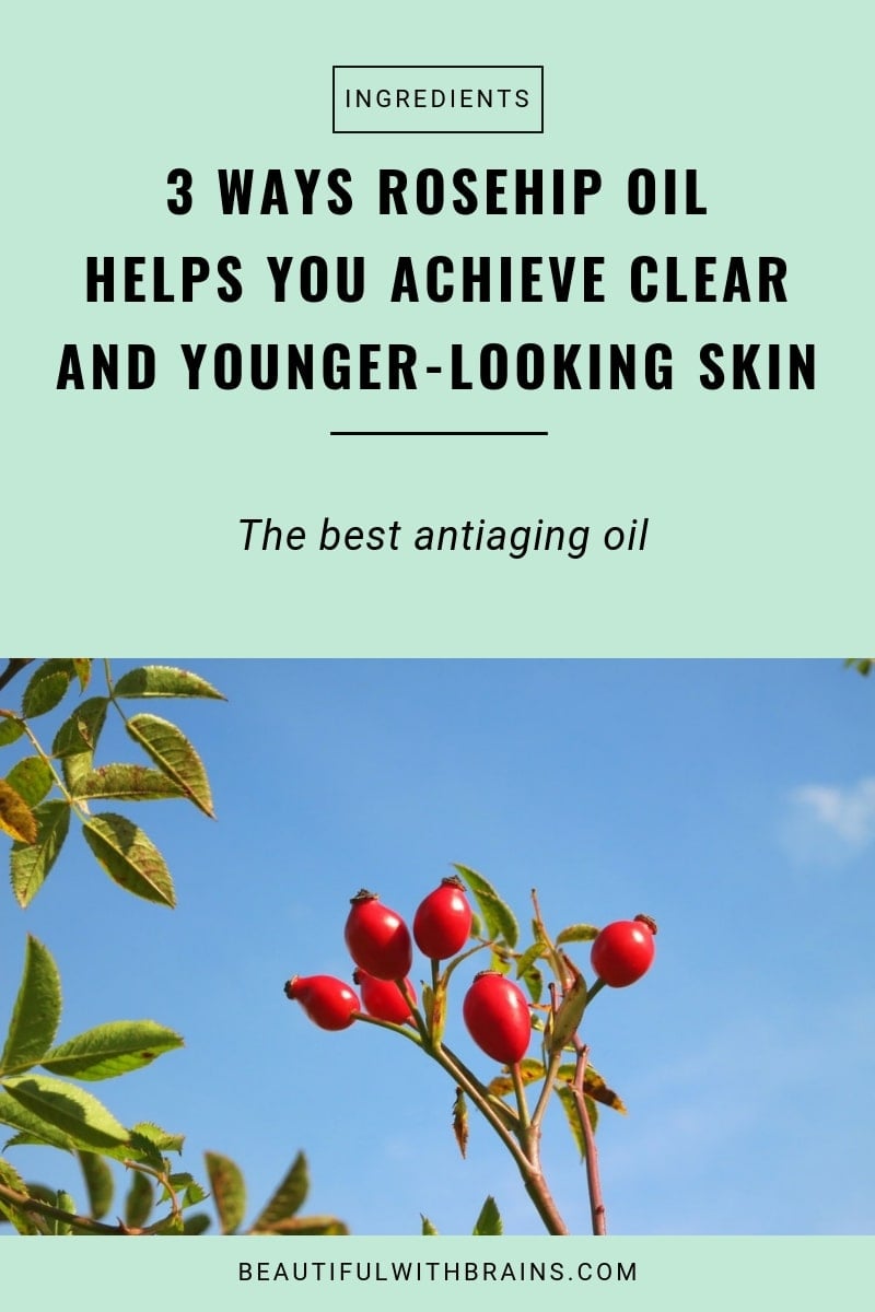 rosehip oil best antiaging oil