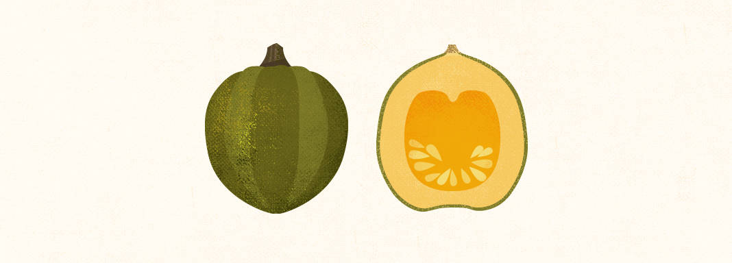 Acorn Squash