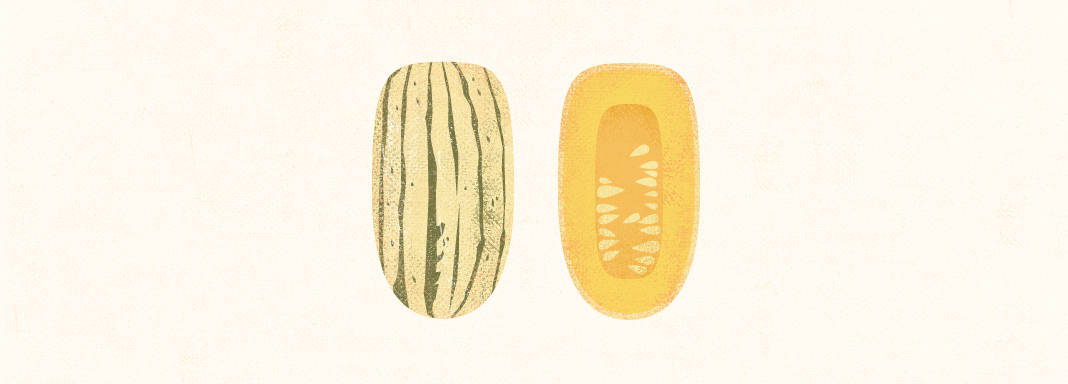 Delicata Squash