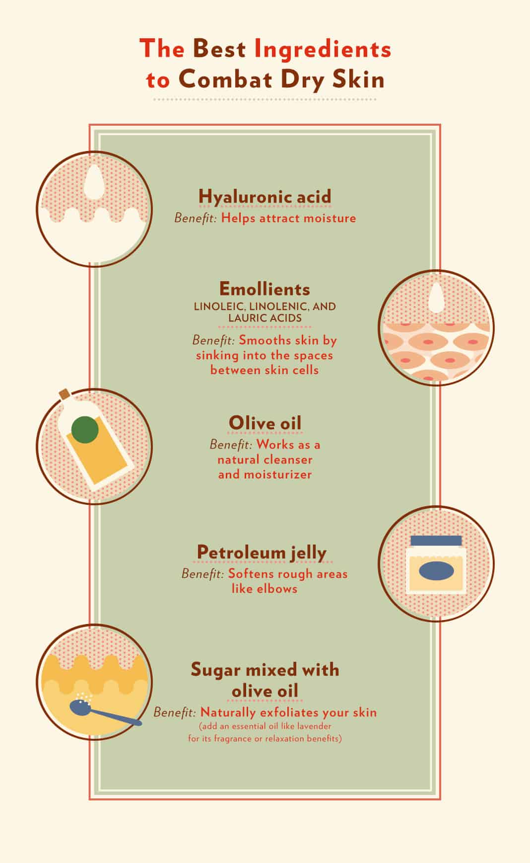 Winter Skincare Guide Infographic
