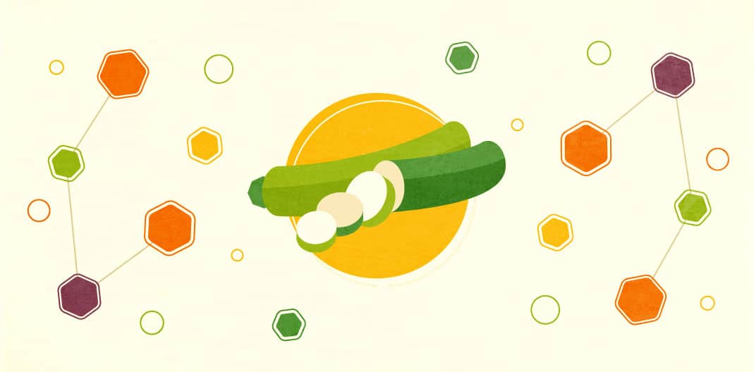 Zucchini Recipe Round Up