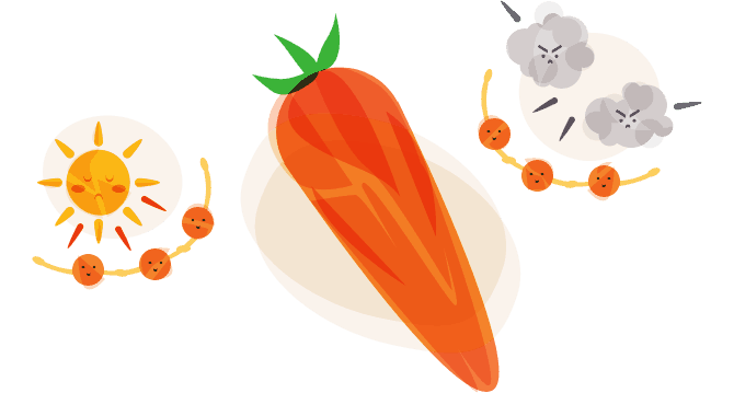 Carrots